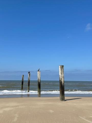 Appartement De Zeemeermin, Free Parking Zandvoort Esterno foto